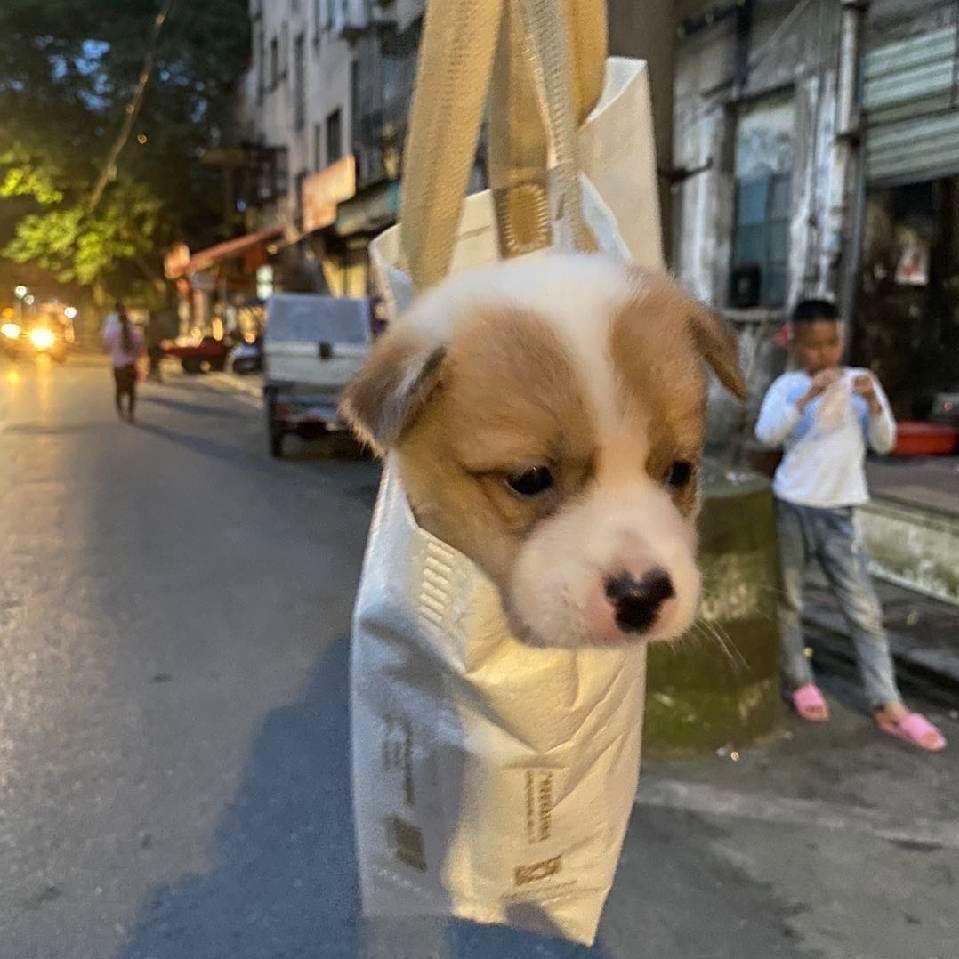 晋江市陈埭镇晋房信息咨询服务部（个体工商户）