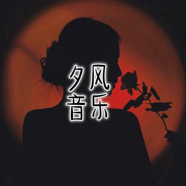 音乐夕风•⚇•͈🪷