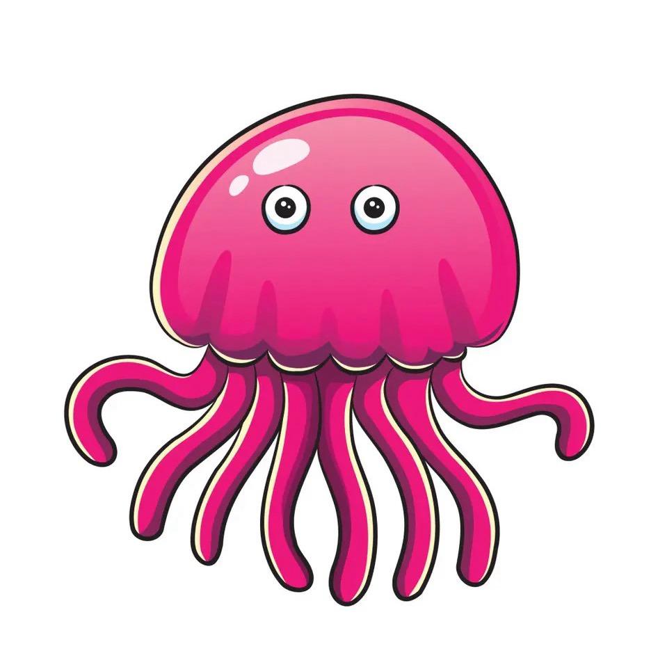 八爪鱼🐙（海鲜干货批发）