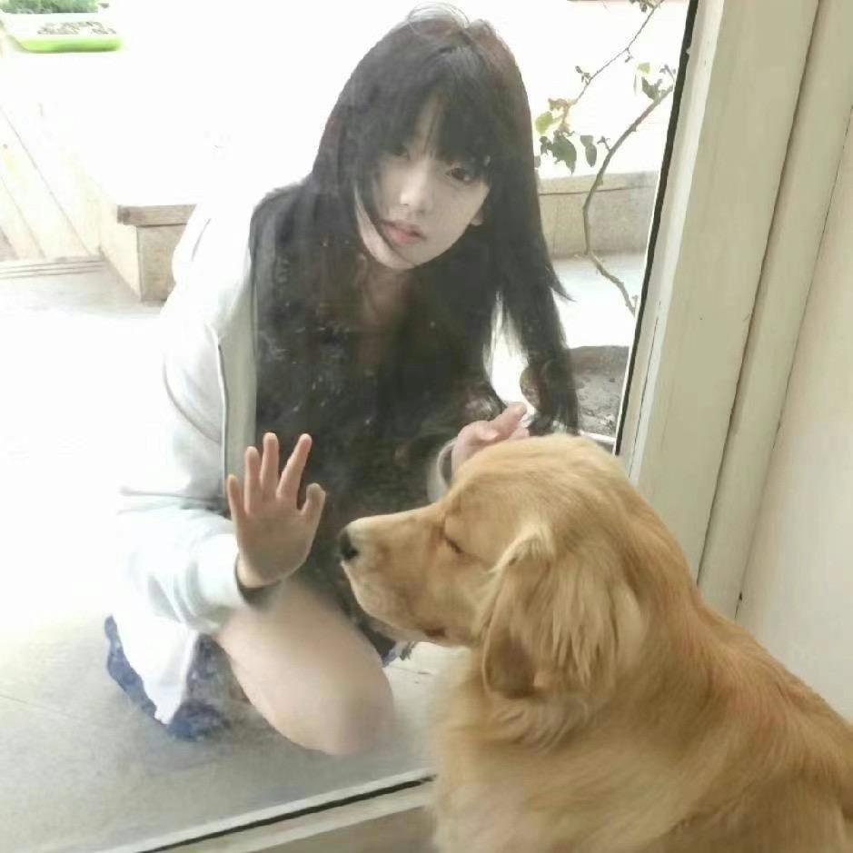 奶酥茶茶猫