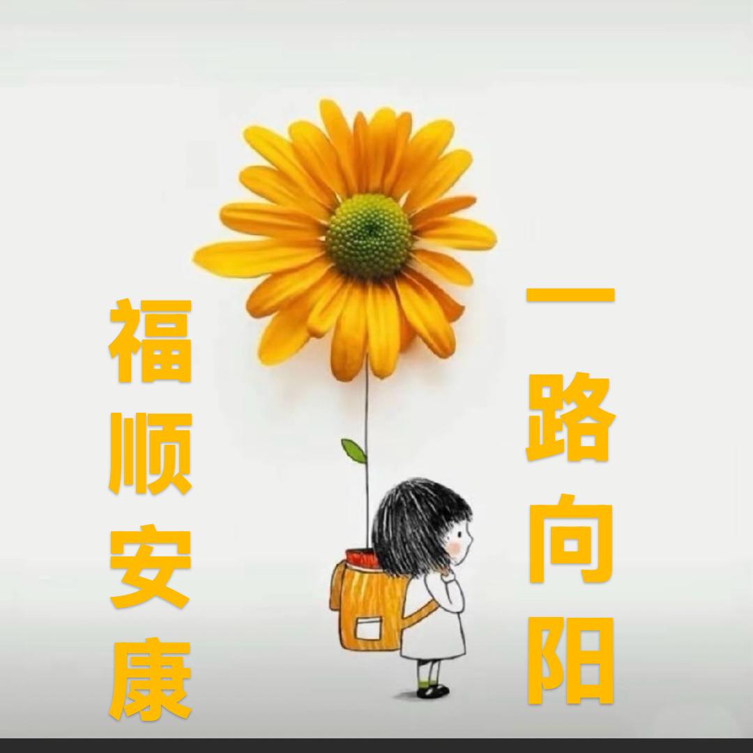 🌻太阳女神🌻