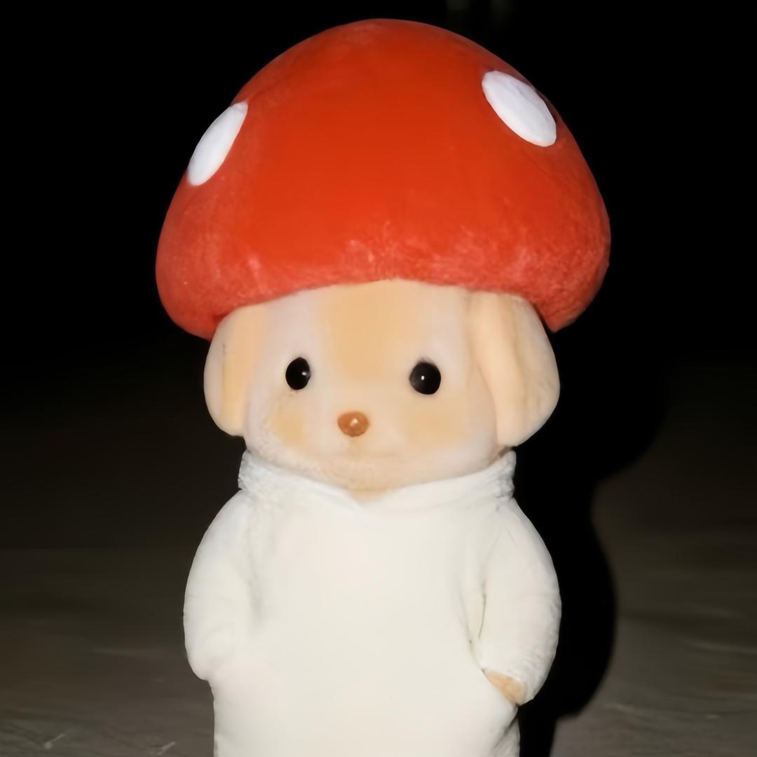 wu小燕--