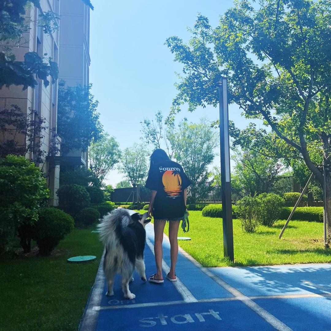 我的阿拉爱撕家.