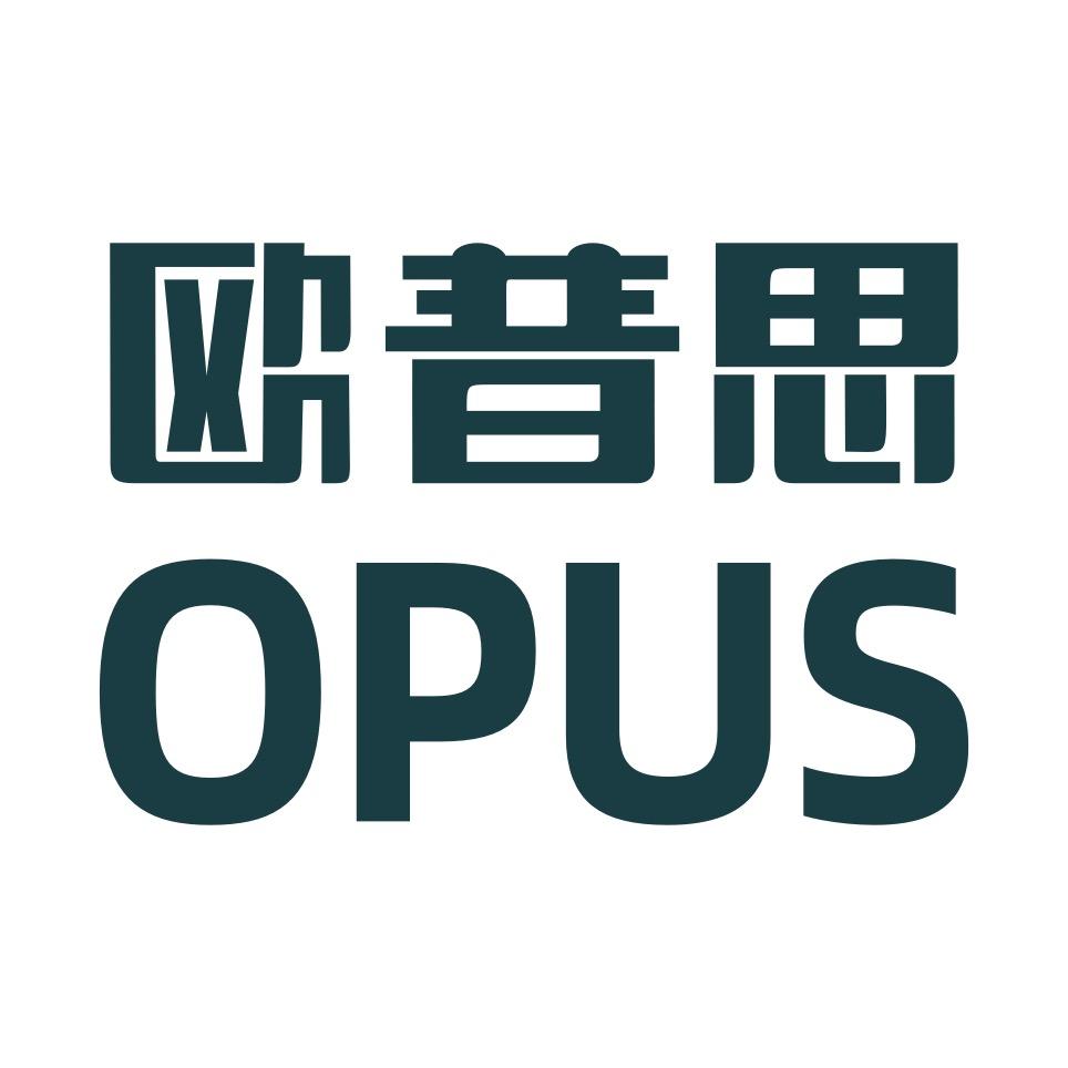 OPUS欧普思安徽欧普思玻璃工艺有限责任公司饮具专卖店