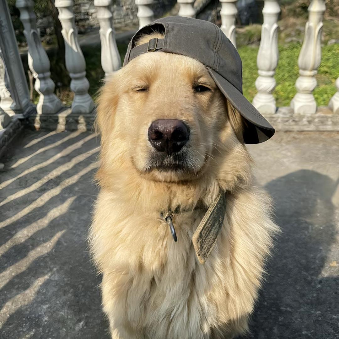 二婚发现老公是给