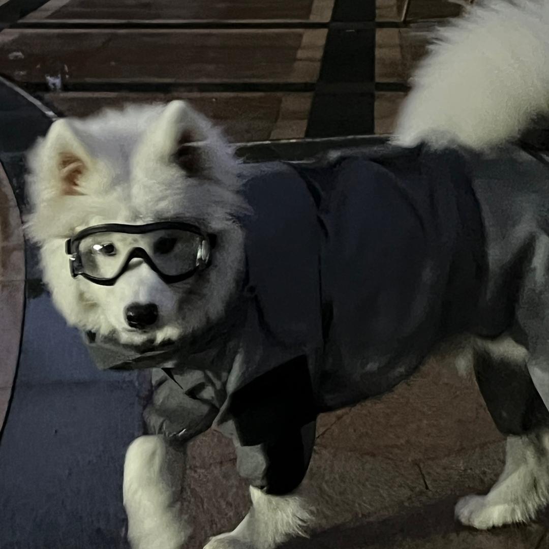 不叫博恒
