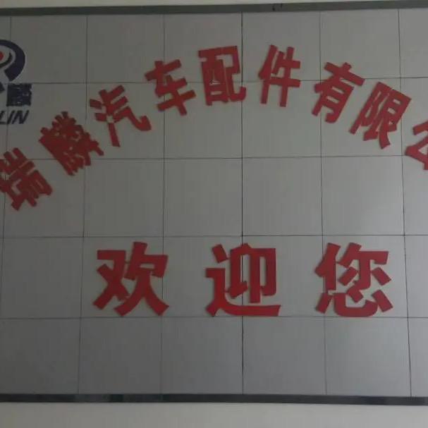 瑞麟起动电机