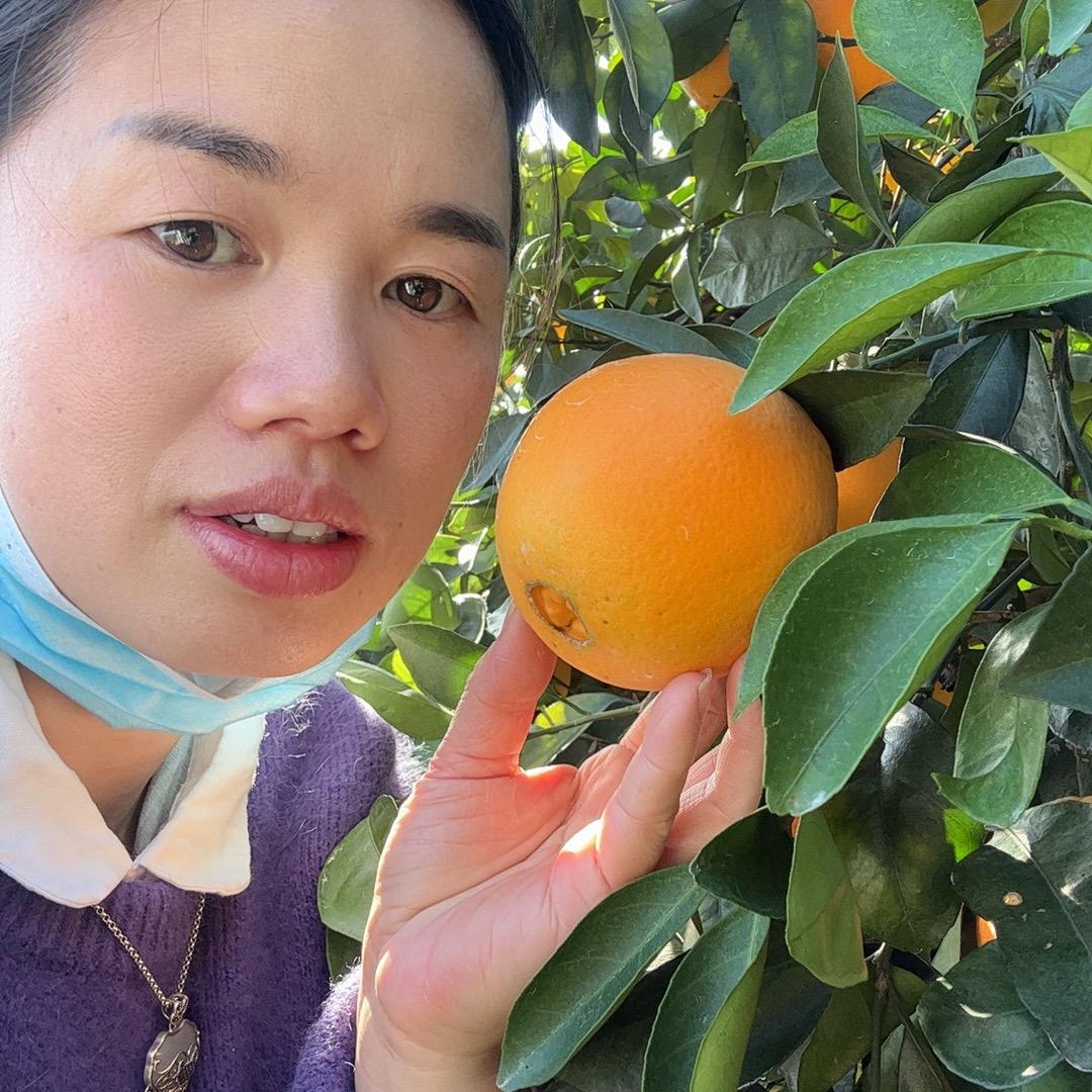 宁都窗帘沙发套定制-小邹