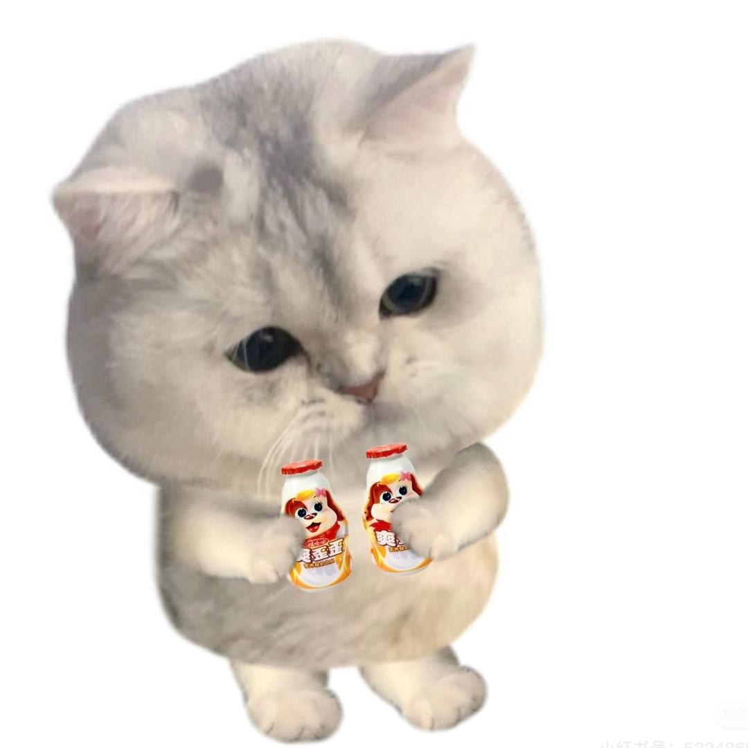 关你西红柿