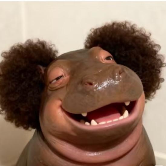 我发誓再也不买了