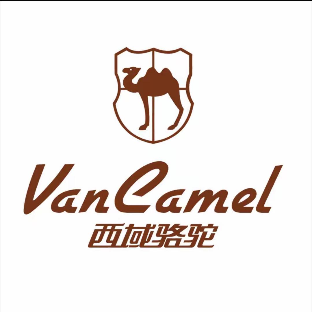 VANCAMEL西域骆驼男鞋旗舰店