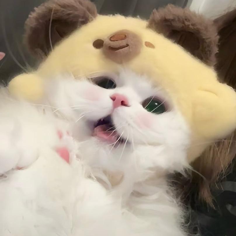 阿溧