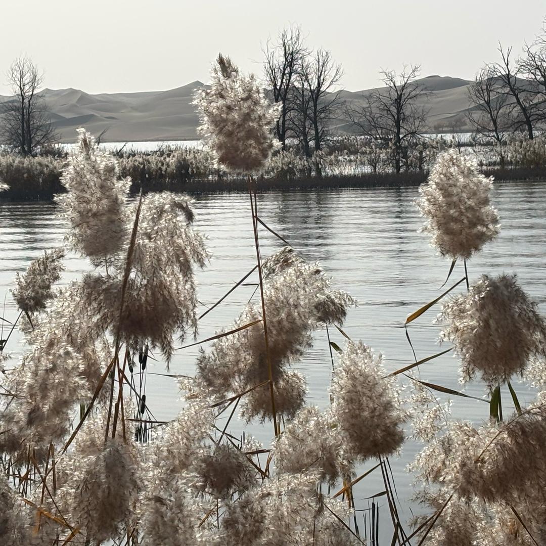 库尔勒宽带服务