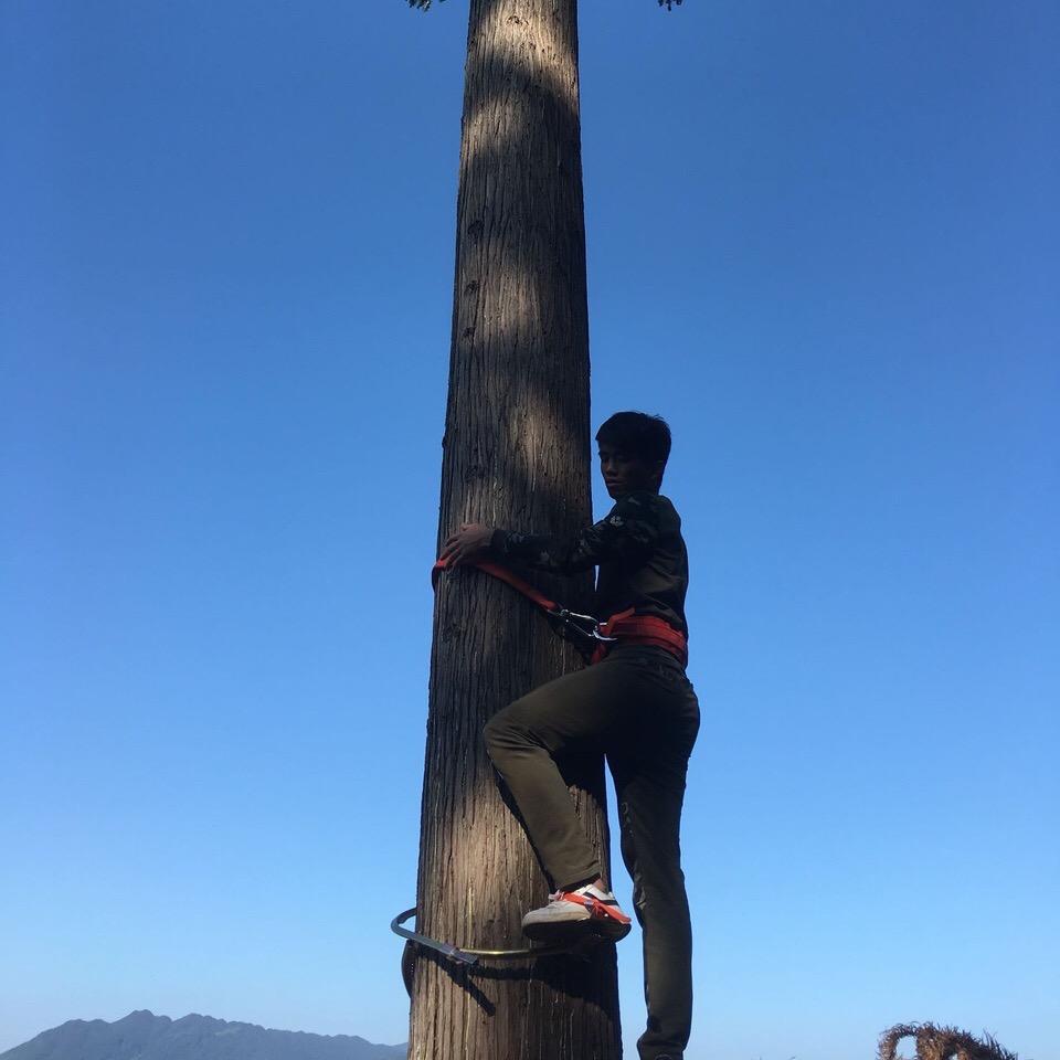 木木哥