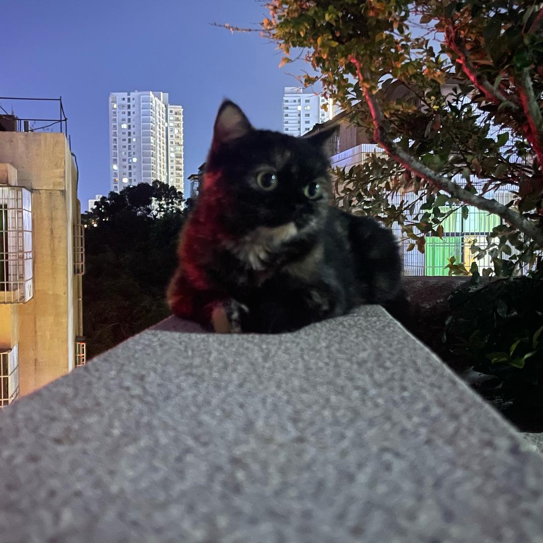 一众人等