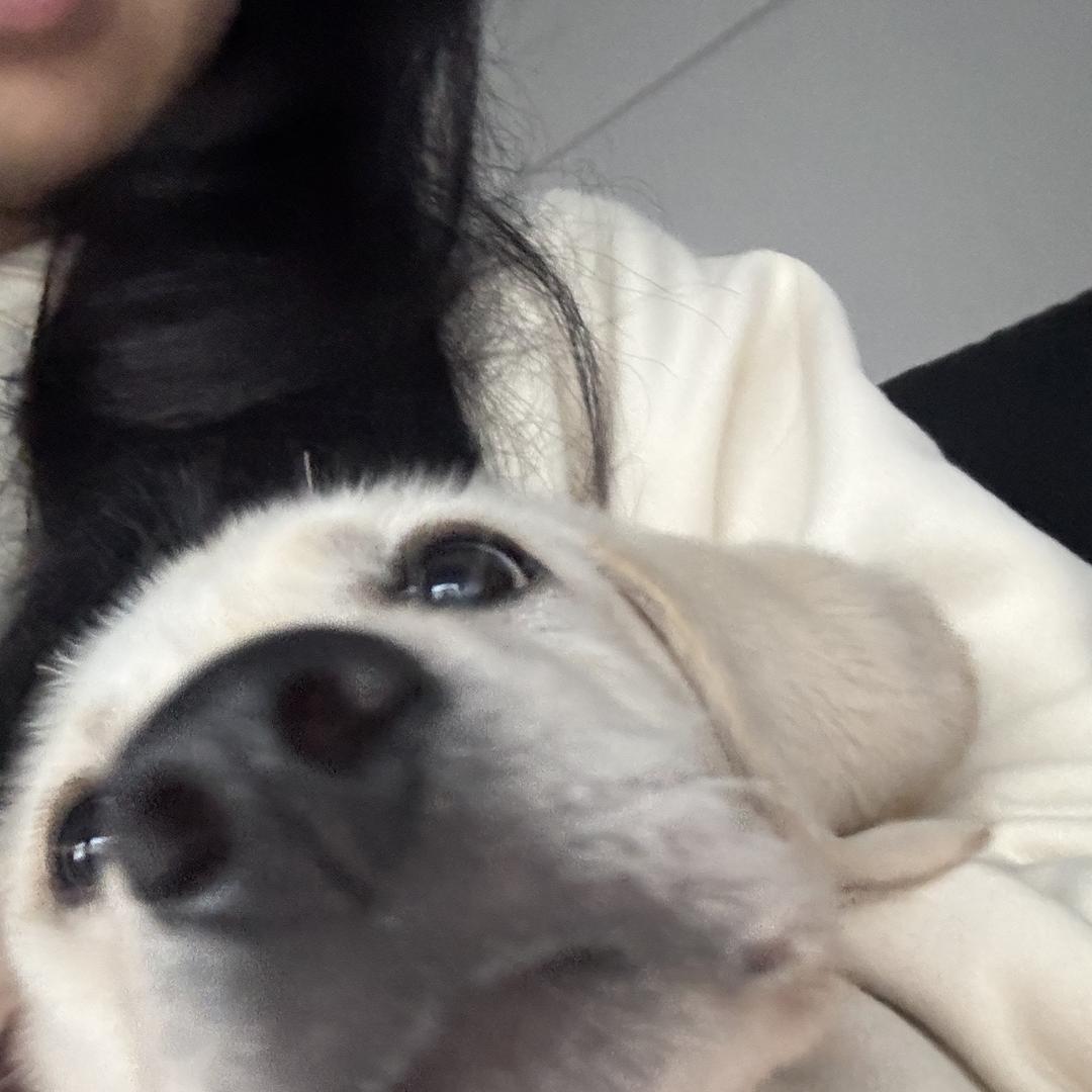 福禄教育咨询服务部