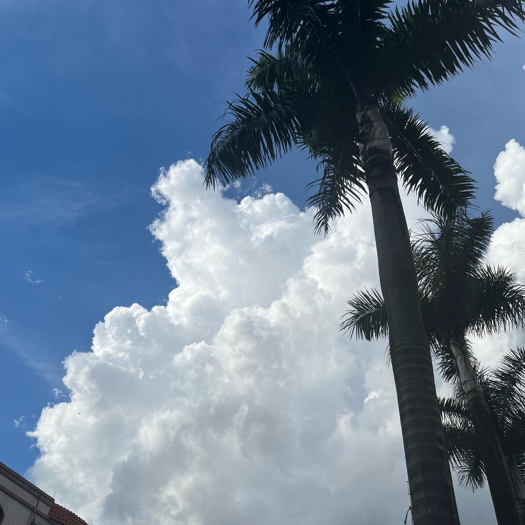 为什么泡面不加水