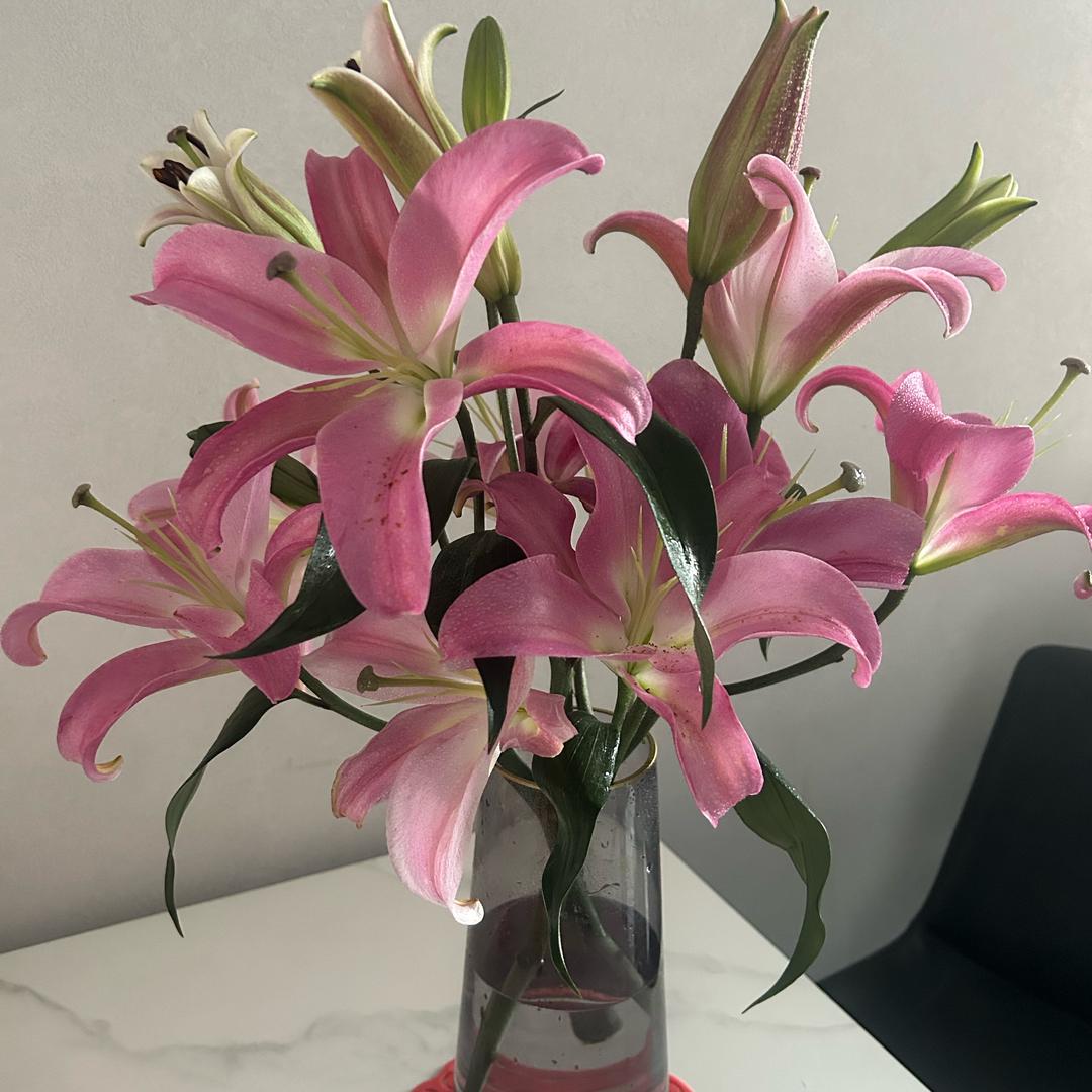 关岭二手房签多多