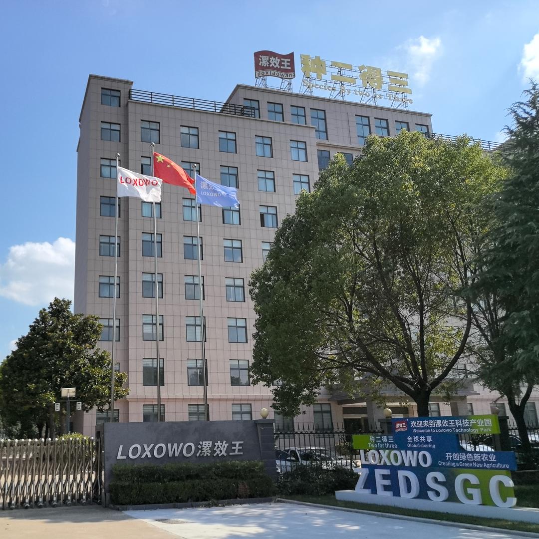 漯效王集团招商部侯欣欣