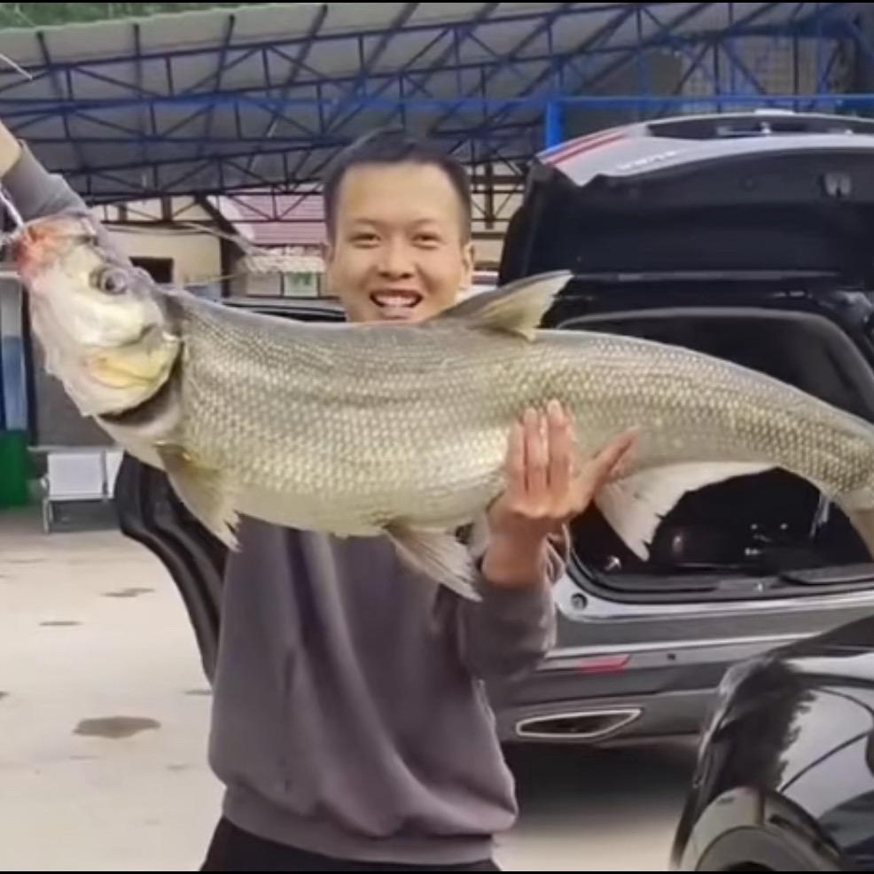 小宇🎣路亚🪝