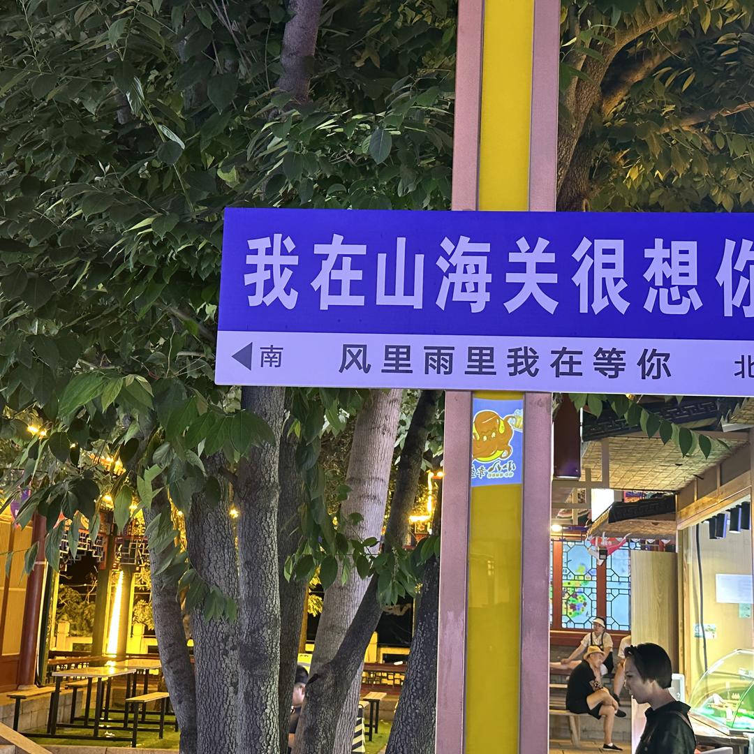 意 中 人