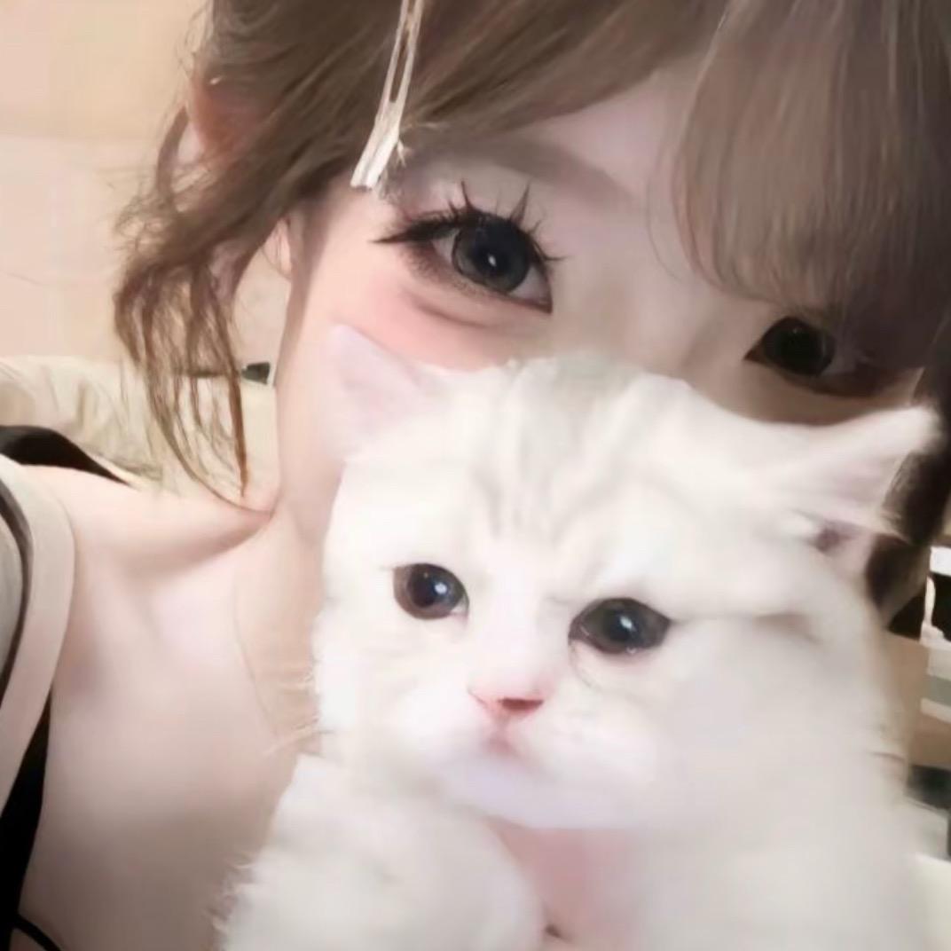˖ ꒰͡ ͜ ï ͜ ͡꒱ ⁺