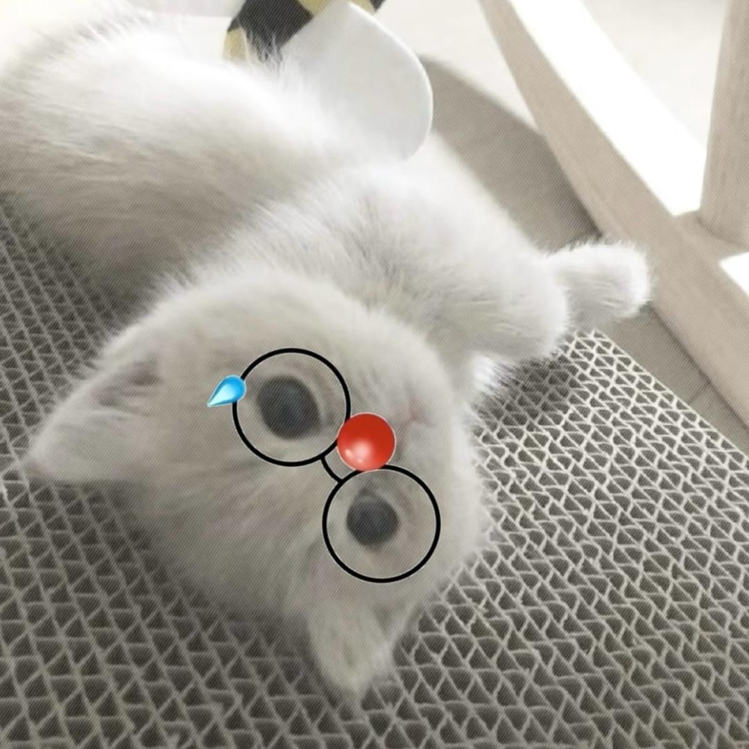 泪痕lz