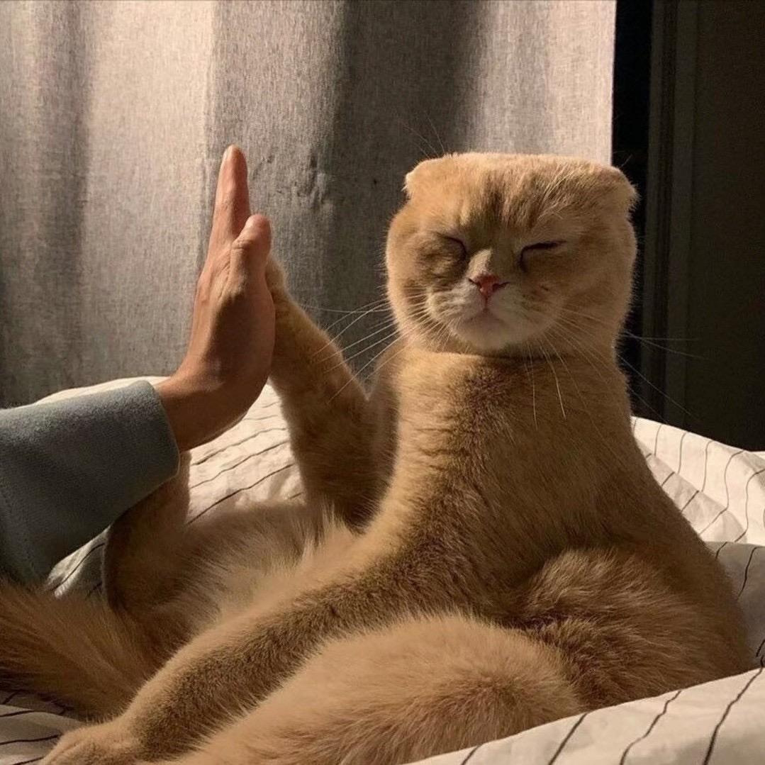 江南Lolm(卢娜双休）