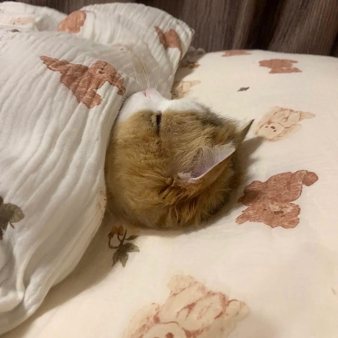 傑