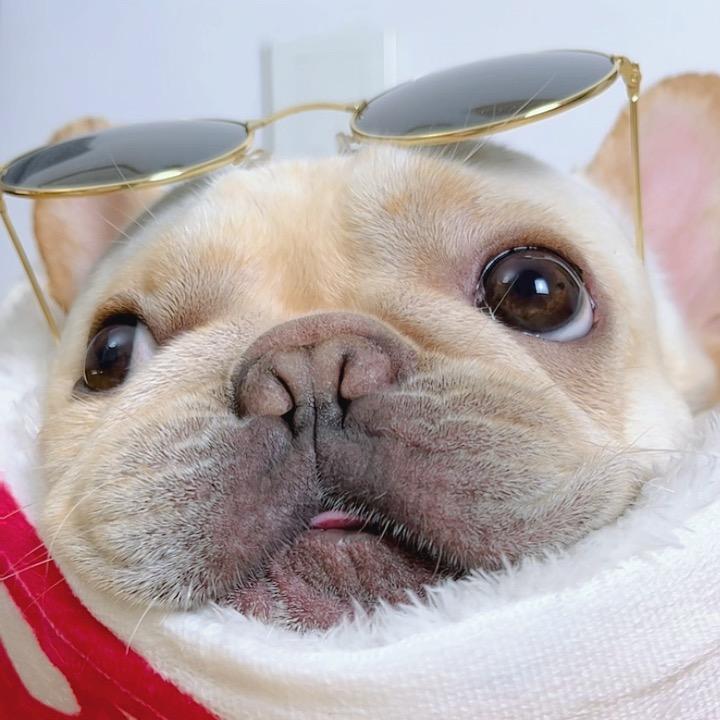 逍遥是个帅大哥