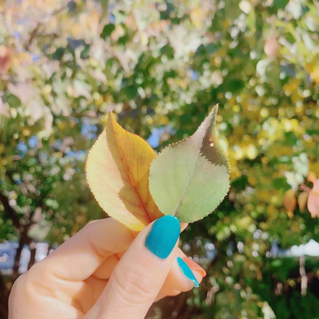 赵小怪