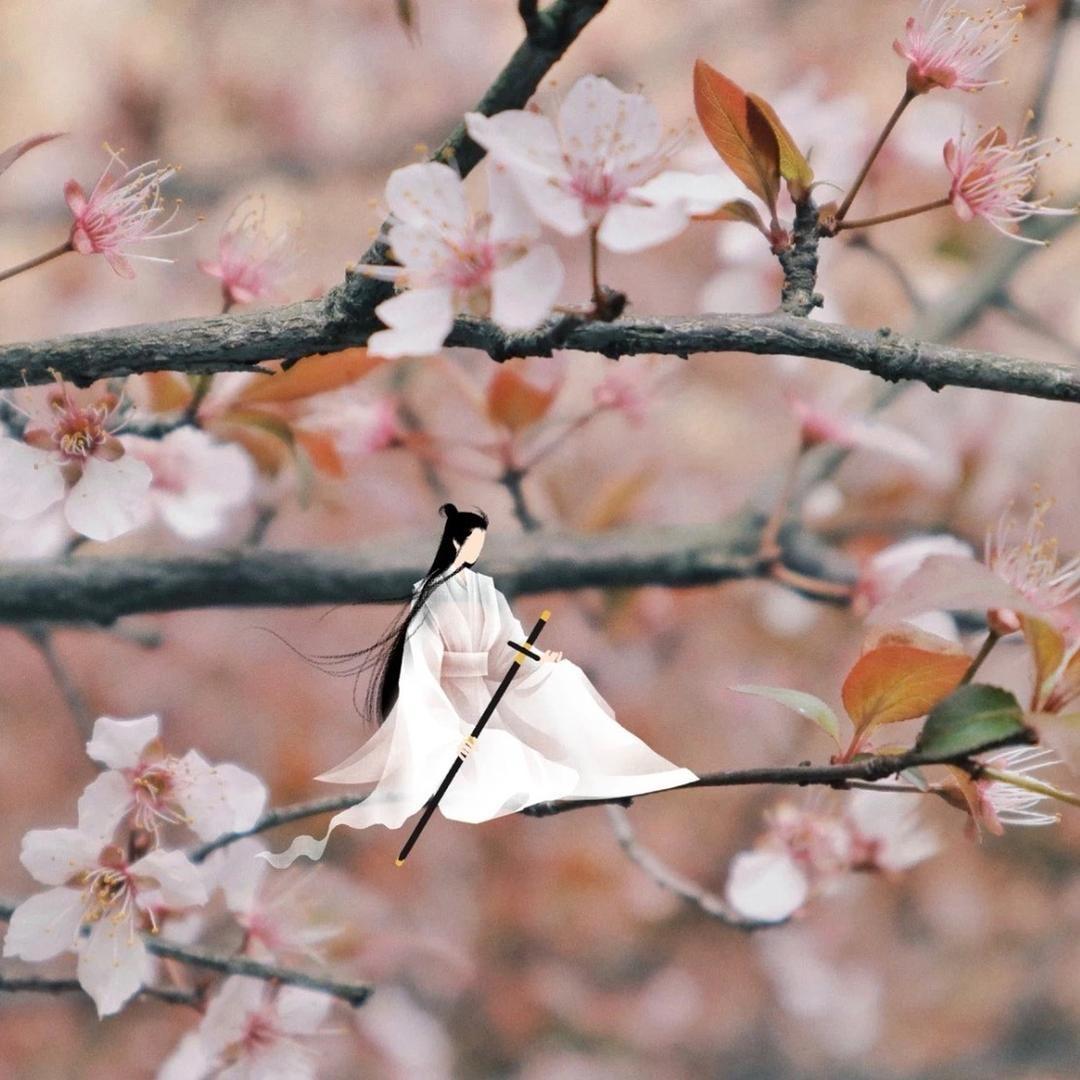 我与春风皆过客🌸