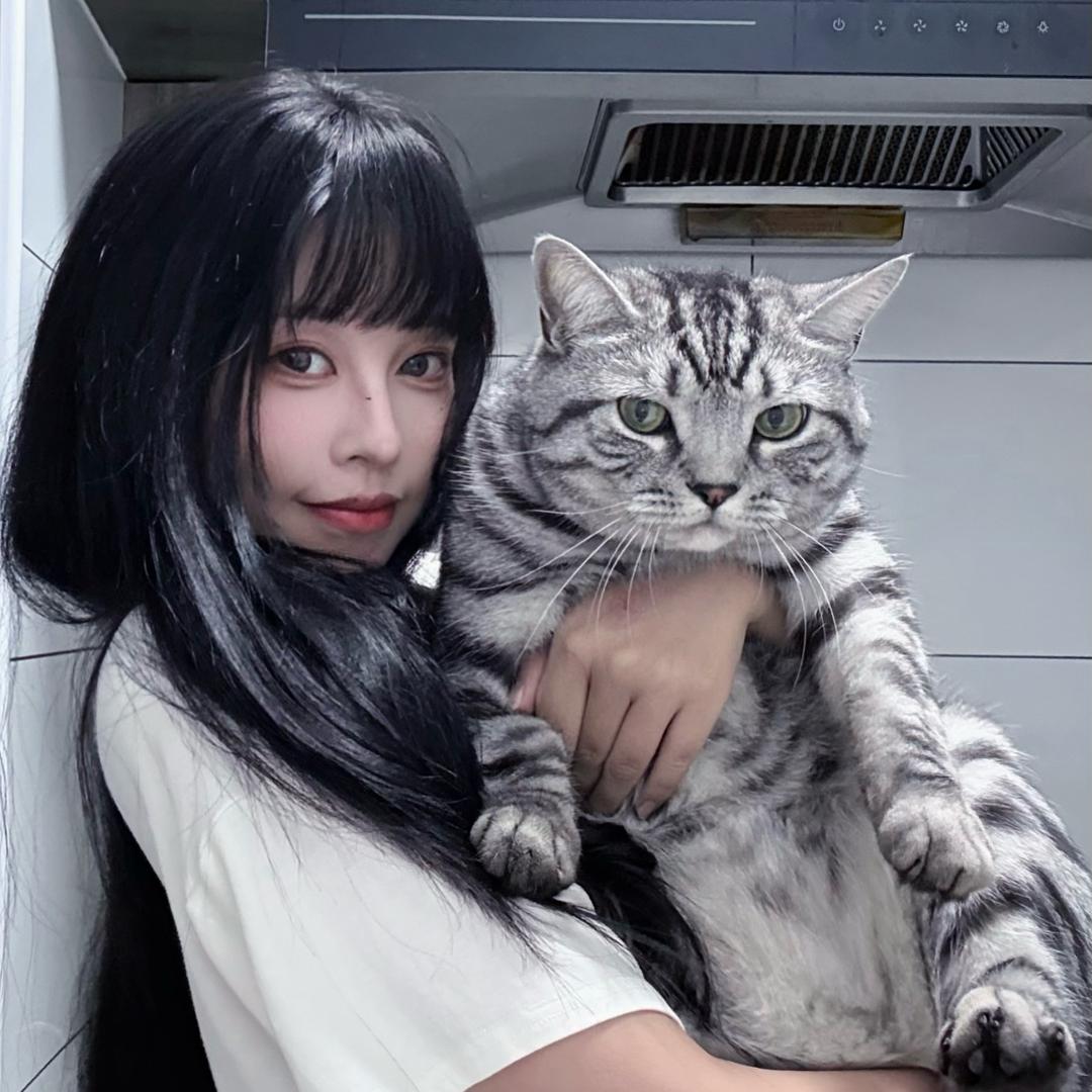 小羊吃羊