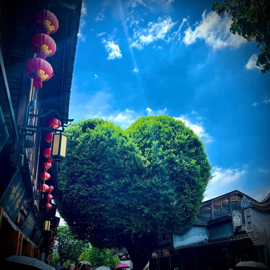 ͏͏͏͏͏͏͏͏͏晴天