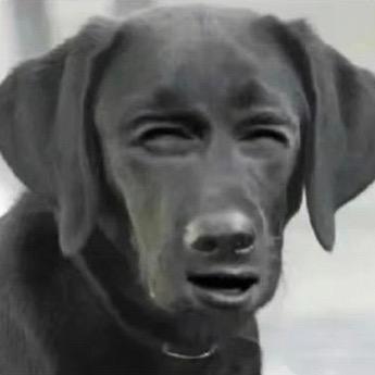 可乐小柠檬
