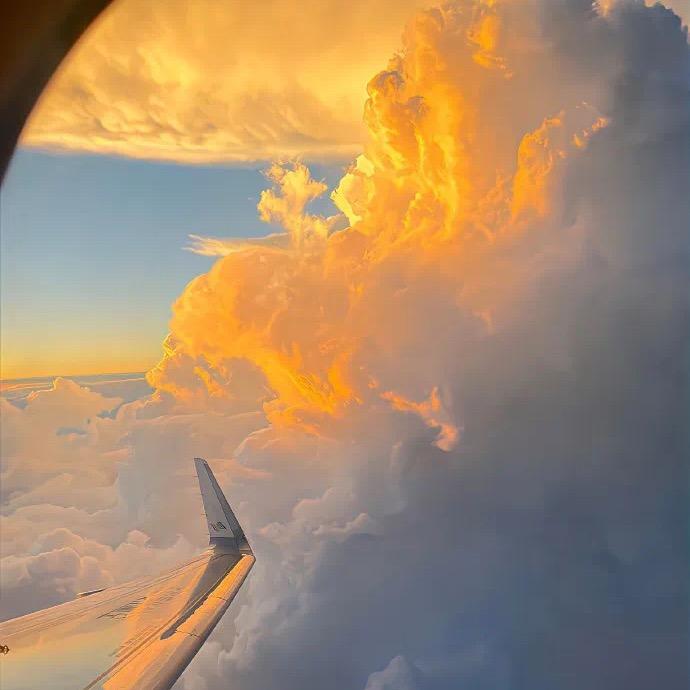 爱爬山的野猴子