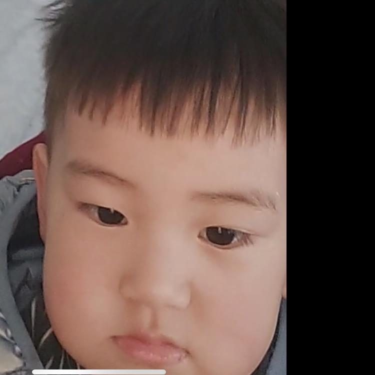 从心开史