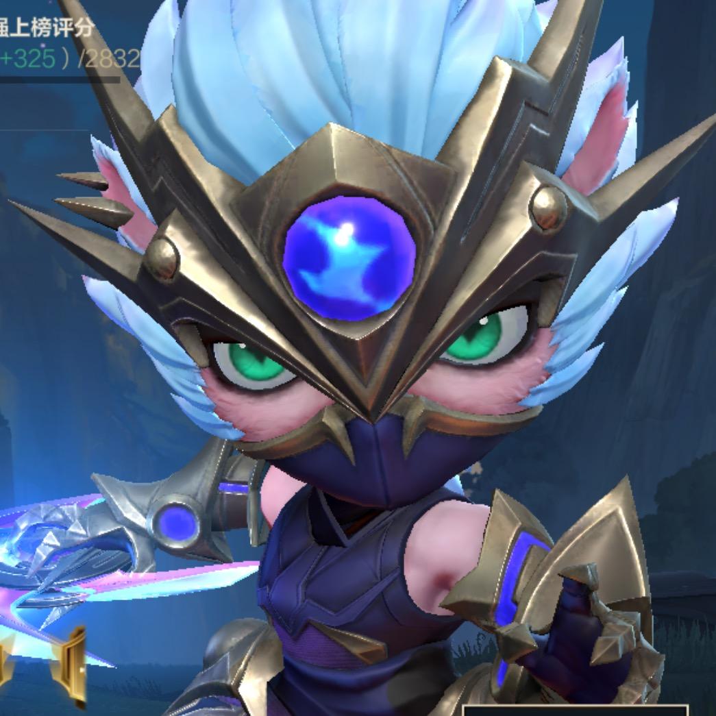 姓陳属龍