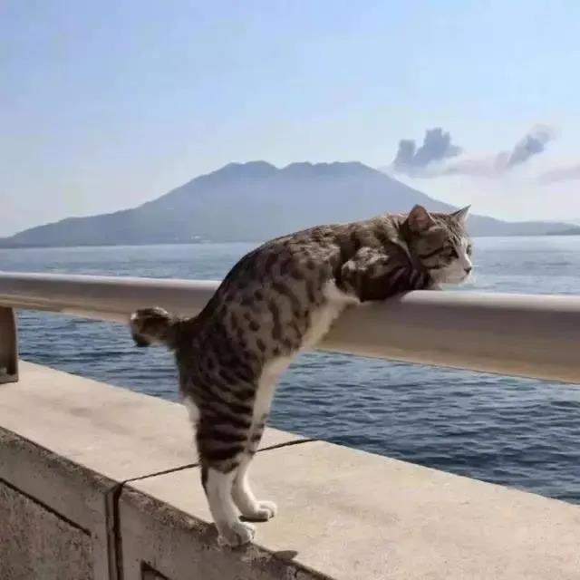 小佑