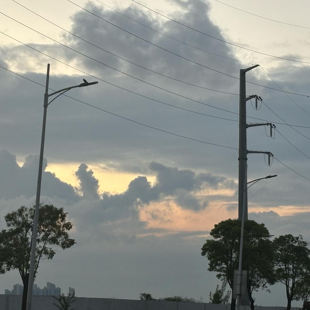 Laity.（俗人樊）