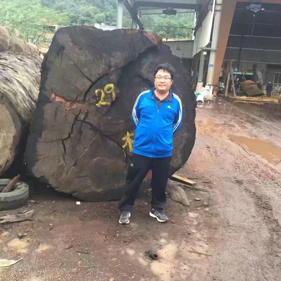 大屯大板张振辉
