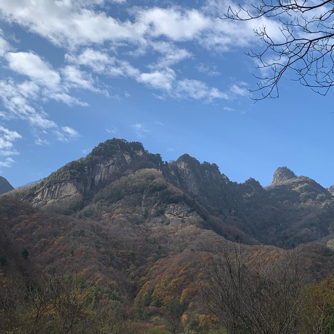 槿花