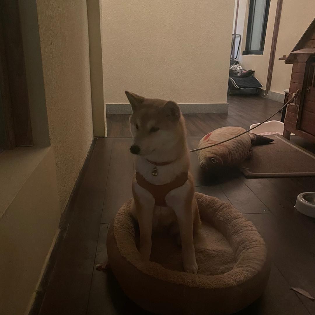 Y.y