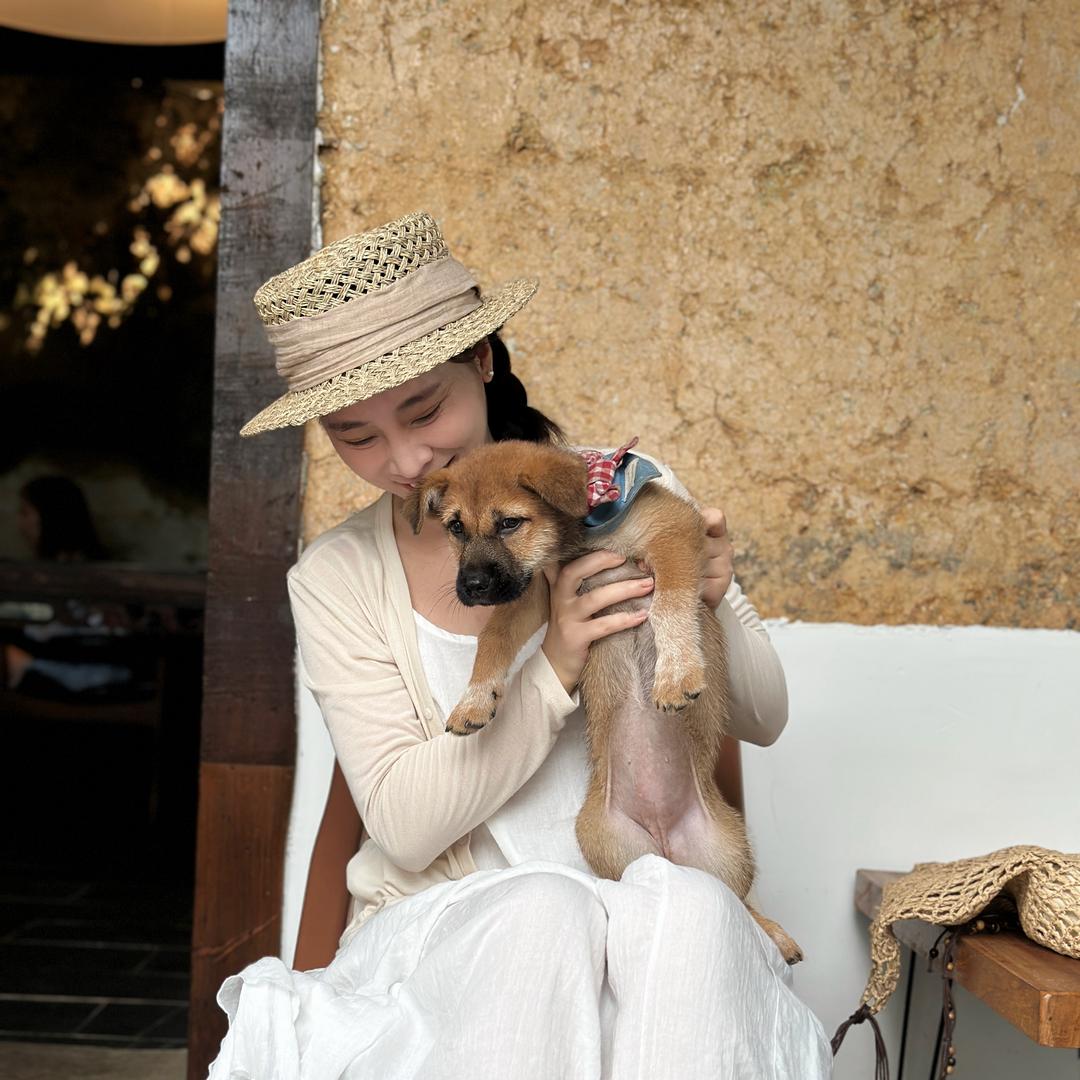 芝士真珠              🪽