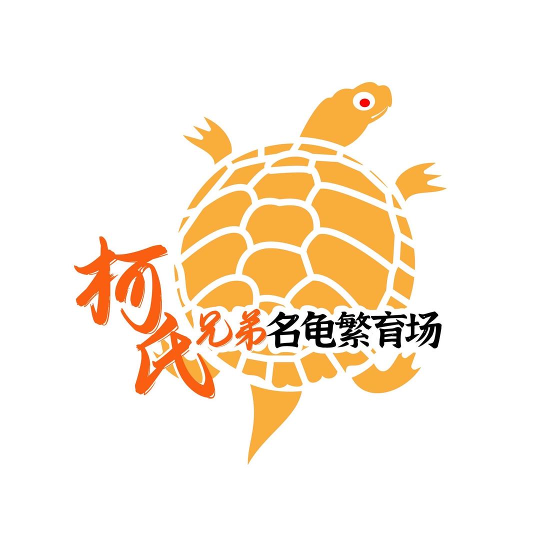 柯氏兄弟(柯桂健)