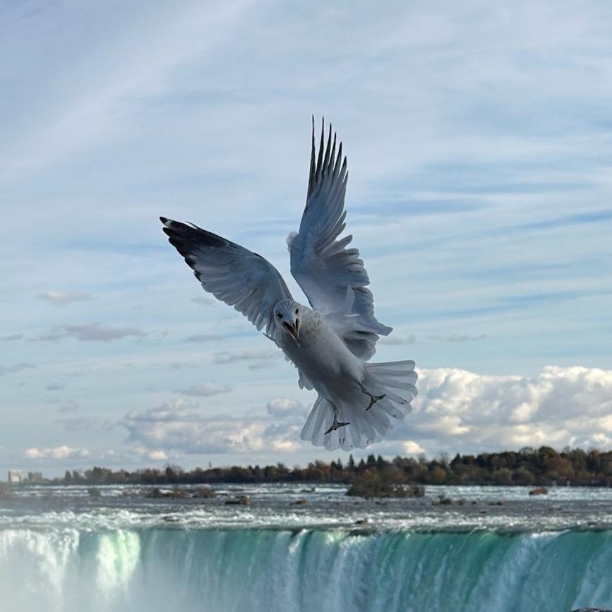 Toronto