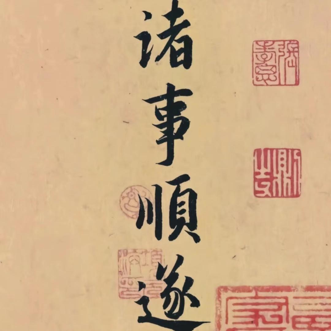 爱冒险的豪砸