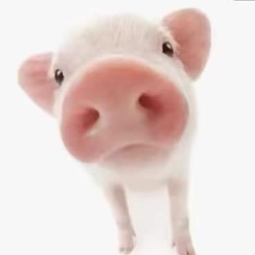 不瘦到90斤不改名。。