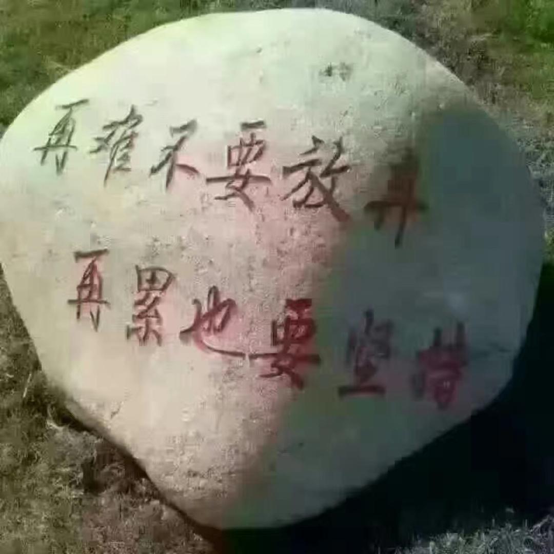 桐安影视解说
