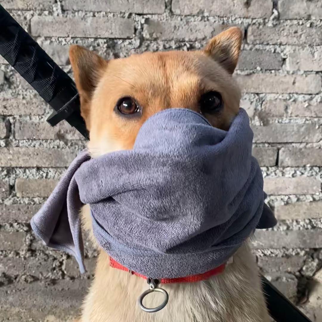 满满😶‍🌫️